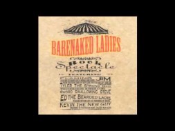 Music - Brian Wilson - Jim Creeggan - Barenaked Ladies - Rock Spectacle