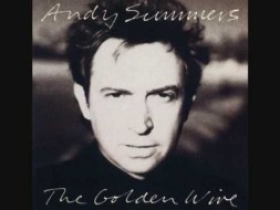 Music - Blues For Snake - Doug Lunn - Andy Summers - The Golden Wire